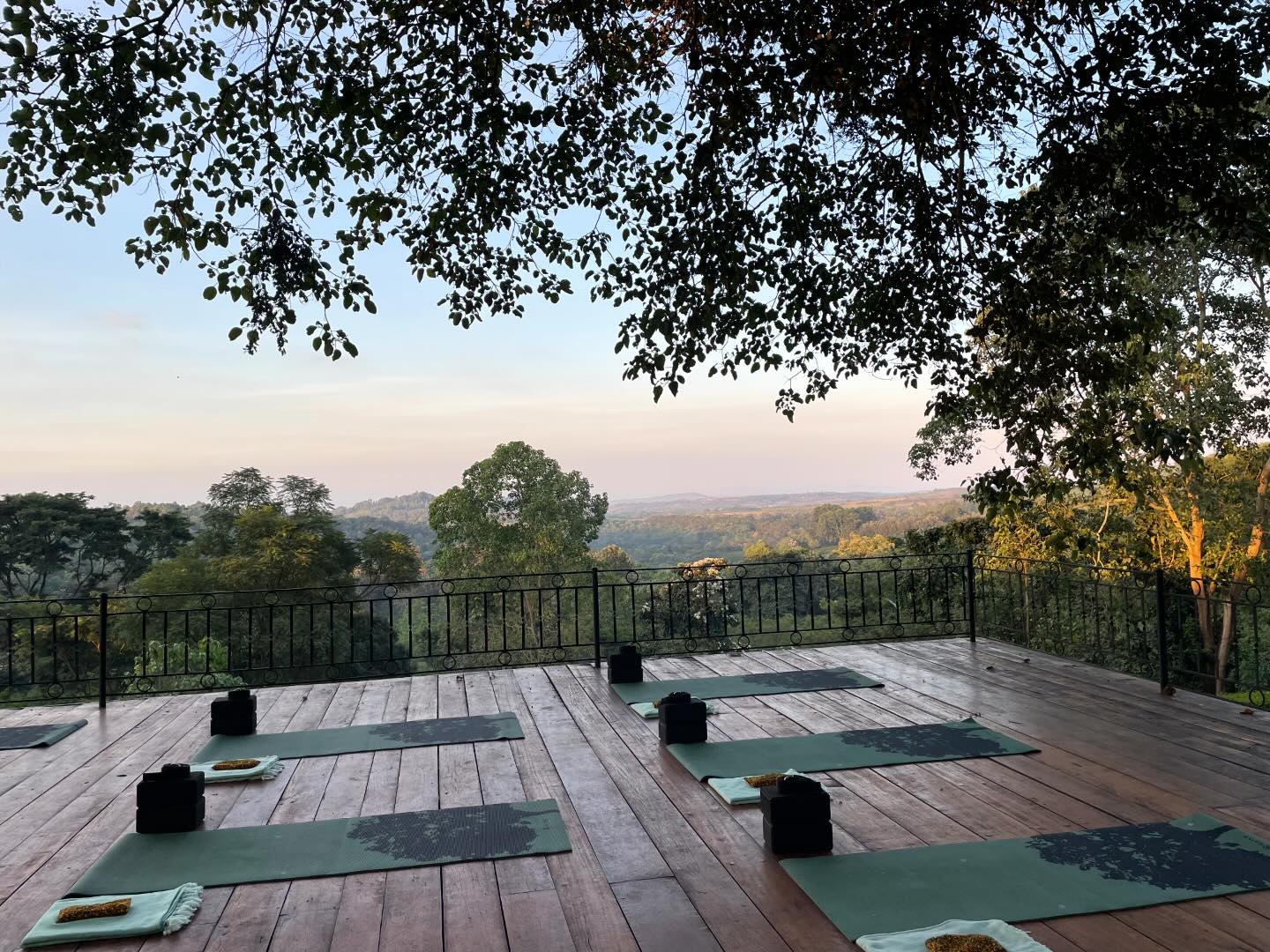 Family yoga session. Best way to start the day. Downward Dog with your nearest and dearest …… post safari stretch …. Ommmmm
#yoga #stretch #familytime #groupyoga #views #vast #nofilter #om