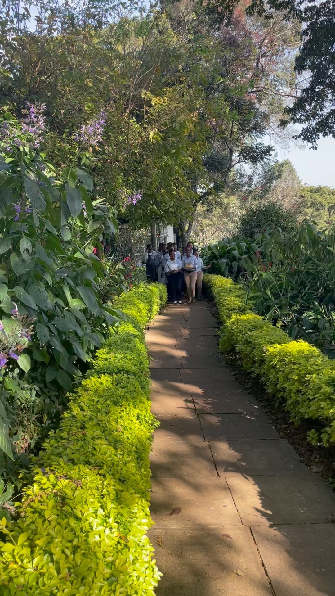 When you have your 10th Birthday whilst on vacation in Tanzania and it’s a perfect day for a birthday afternoon tea party! Happy Birthday to Helen! #birthday #afternoontea #party #teaparty #cake #memories