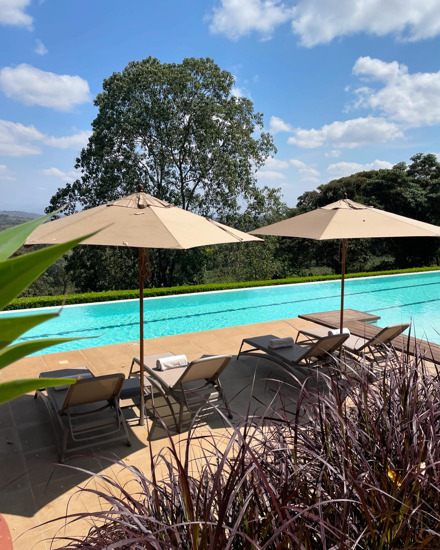 Yoga, breakfast, farm hike, lunch ….. poolside siesta ….. ahhhhh ….. 
#views #siesta #activities #safari #pool #chill #chillday #vibes